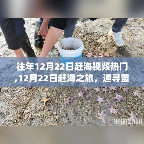12月22日赶海之旅，追寻蓝海边的内心宁静时光