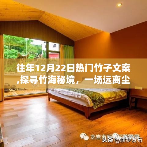 探寻竹海秘境，一场远离尘嚣的心灵之旅，历年12月22日热门竹子文案回顾