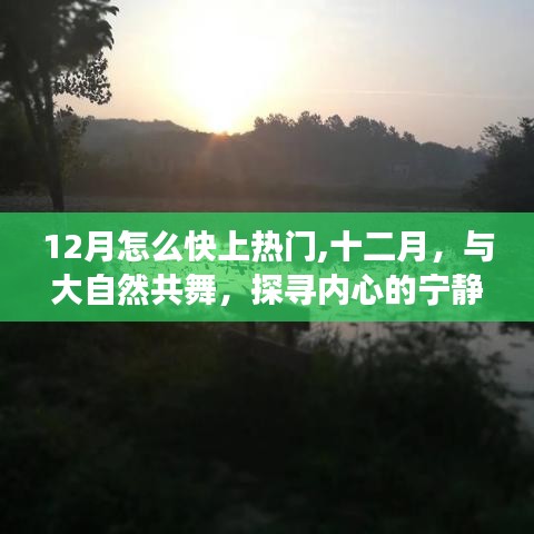 十二月热门探寻，与大自然共舞，内心宁静之旅