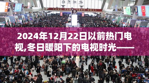 冬日暖阳下的温馨追剧时光，2024年前热门电视剧回顾