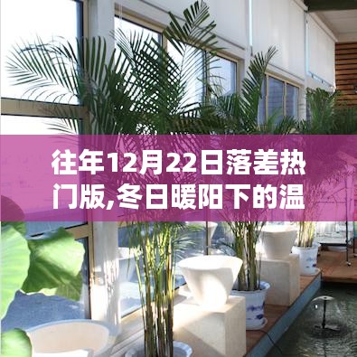 往年12月22日落差热门版的美好回忆，冬日暖阳下的温馨时光