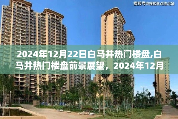白马井热门楼盘展望，2024年12月22日的视角与前景展望