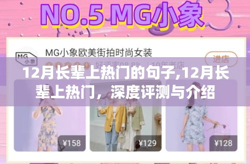 深度评测与介绍