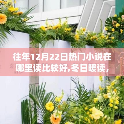 冬日暖读之旅，12月22日与友共赴奇幻小说盛宴，优质阅读推荐