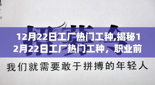 揭秘，12月22日工厂热门工种及其职业前景、技能要求与发展趋势