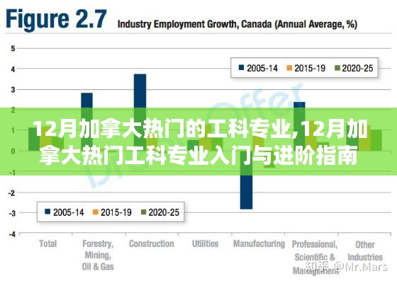 12月加拿大热门工科专业详解及入门与进阶指南