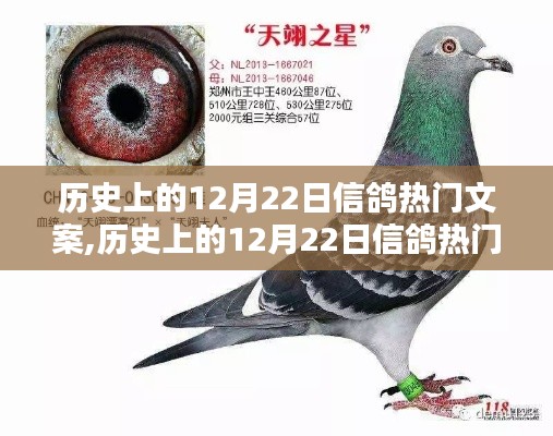 继晷焚膏 第3页