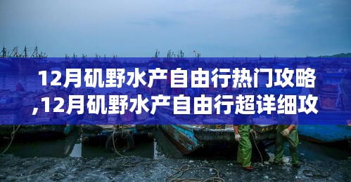 12月矶野水产自由行超详细攻略，掌握行程规划与体验技巧