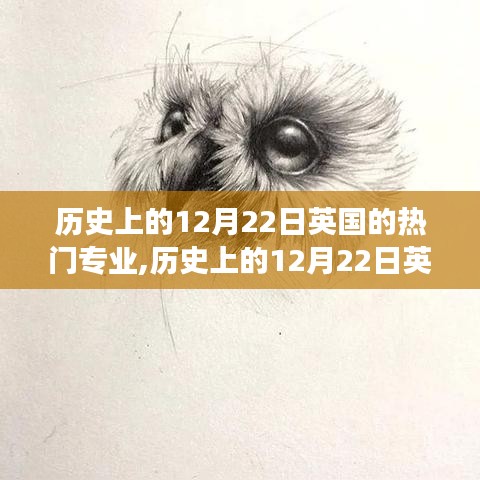 历史上的12月22日英国热门专业的变迁与趋势探讨，从变迁看未来趋势预测