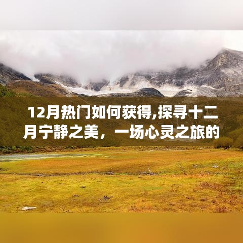 探寻十二月宁静之美的心灵之旅，获取热门指南与启示