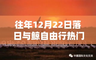 往年12月22日观赏落日鲸跃的自由行热门攻略大全