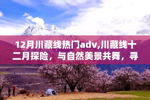 川藏线十二月探险之旅，与自然共舞，探寻内心宁静与平和的冒险之旅