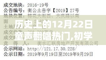历史上的12月22日童声翻唱热门指南，初学者与进阶用户的详细步骤指南