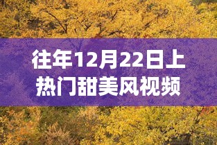 12月22日热门甜美风视频，探索自然美景，领略宁静之美之旅