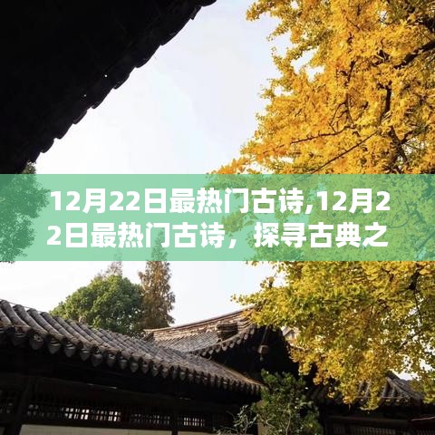 貌美如花 第3页