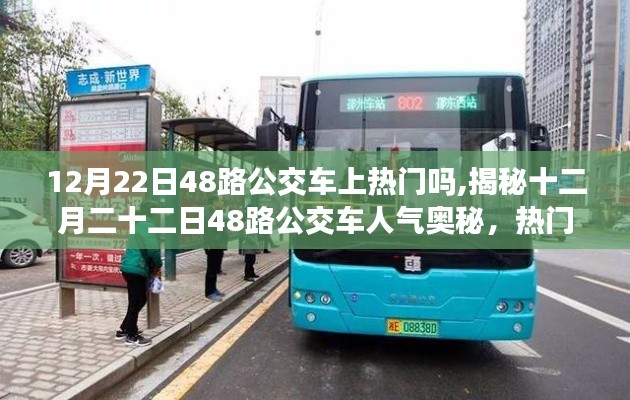 飞龙在天 第3页