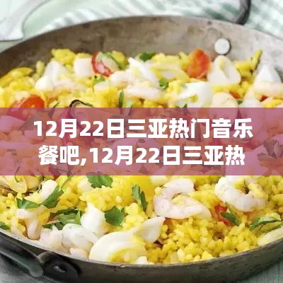 12月22日三亚热门音乐餐吧，全面评测与介绍