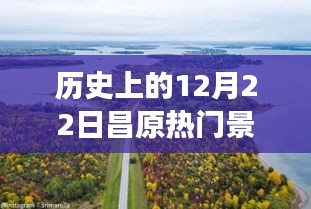温馨昌原之旅，历史12月22日阳光下的热门景点与陪伴