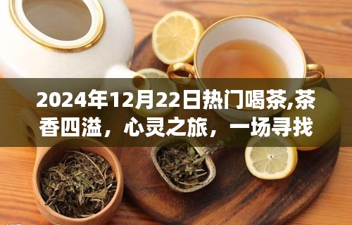 寻找内心平静的茶境之旅，茶香四溢的心灵之旅，2024年12月22日热门体验