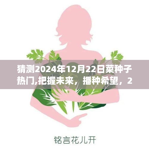 2024年菜种子热门展望，播种希望，迎接挑战