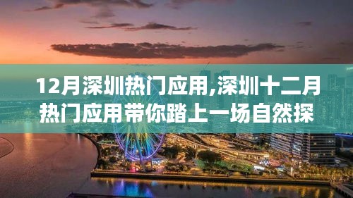 深圳十二月热门应用引领的自然探索之旅，寻找内心的宁静与平和