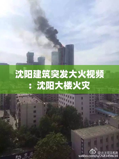 神采奕奕 第2页