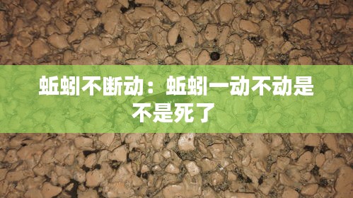 蚯蚓不断动：蚯蚓一动不动是不是死了 