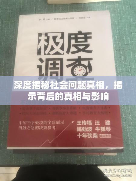 深度揭秘社会问题真相，揭示背后的真相与影响
