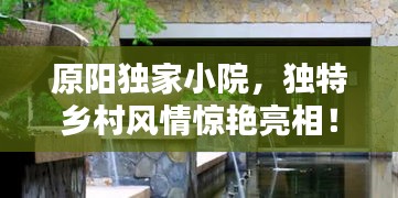原阳独家小院，独特乡村风情惊艳亮相！