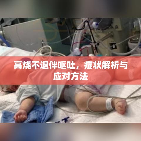 张袂成阴 第3页