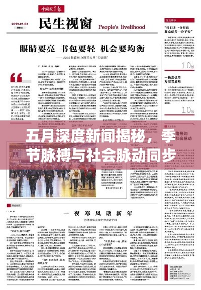 五月深度新闻揭秘，季节脉搏与社会脉动同步探寻