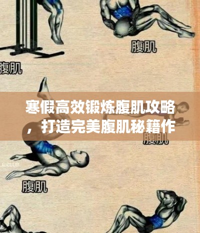 寒假高效锻炼腹肌攻略，打造完美腹肌秘籍作文