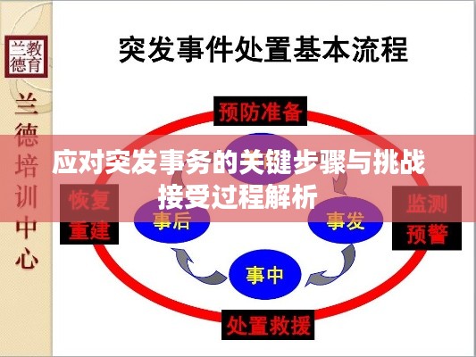 应对突发事务的关键步骤与挑战接受过程解析
