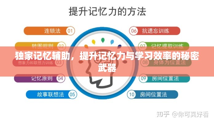 独家记忆辅助，提升记忆力与学习效率的秘密武器