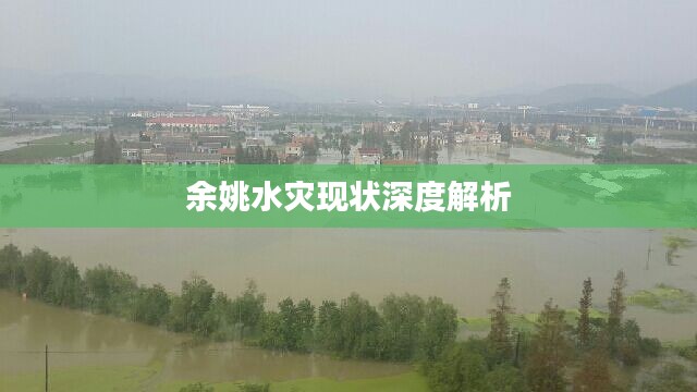 余姚水灾现状深度解析