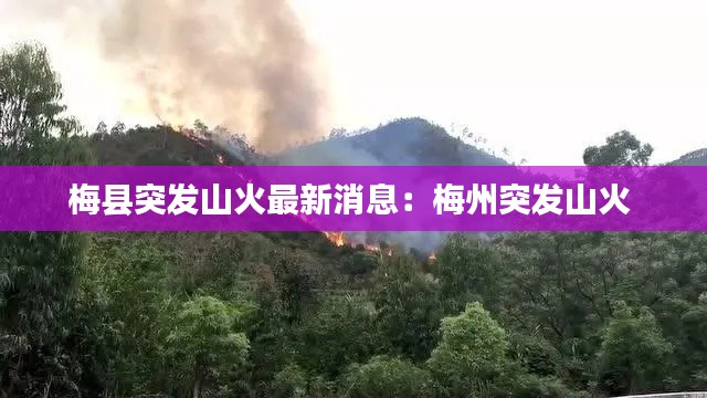 梅县突发山火最新消息：梅州突发山火 