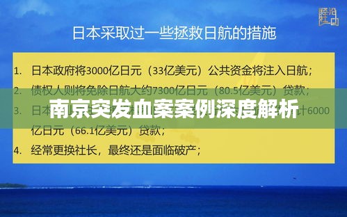 南京突发血案案例深度解析