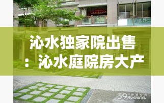 沁水独家院出售：沁水庭院房大产权出售 