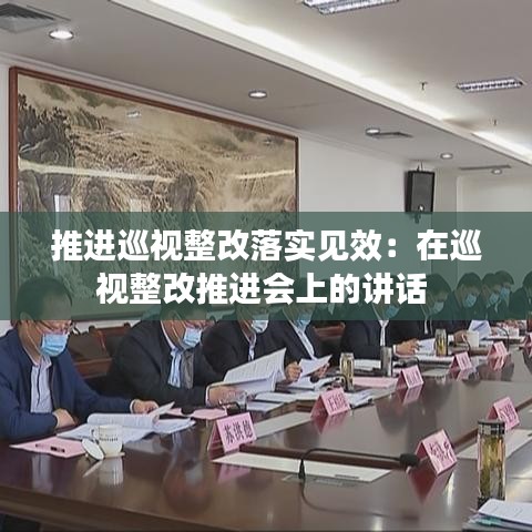 推进巡视整改落实见效：在巡视整改推进会上的讲话 