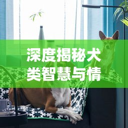 深度揭秘犬类智慧与情感纽带，狗博专题探索