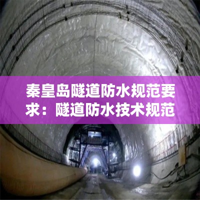 秦皇岛隧道防水规范要求：隧道防水技术规范 