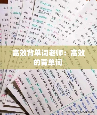 高效背单词老师：高效的背单词 