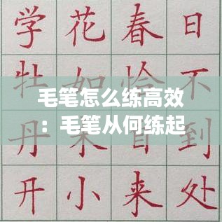毛笔怎么练高效：毛笔从何练起 