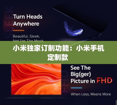 小米独家订制功能：小米手机定制款 