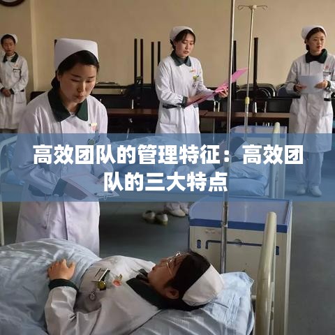 高效团队的管理特征：高效团队的三大特点 
