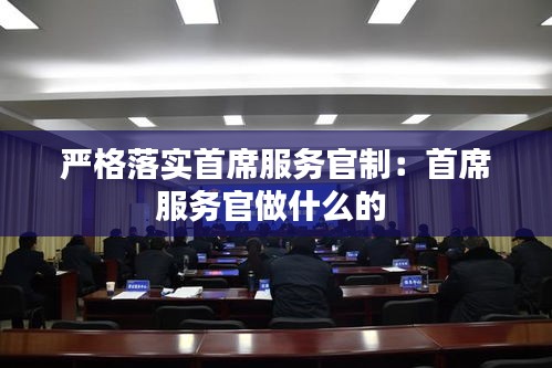 严格落实首席服务官制：首席服务官做什么的 
