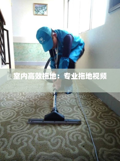 室内高效拖地：专业拖地视频 