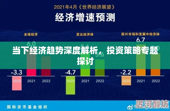 当下经济趋势深度解析，投资策略专题探讨