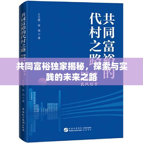 共同富裕独家揭秘，探索与实践的未来之路