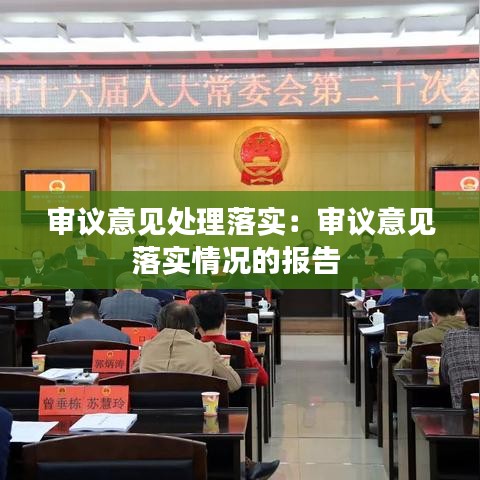 审议意见处理落实：审议意见落实情况的报告 